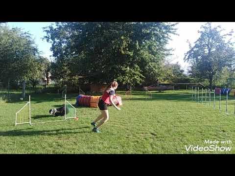 Agility training I Iziček