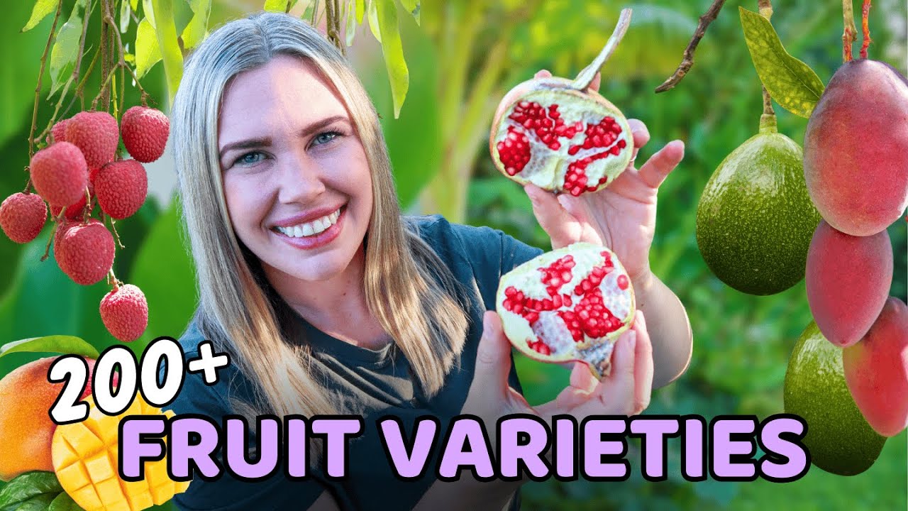 High-Density Edible Garden on 1/5 Acre | Autumn Food Forest Tour 🍂