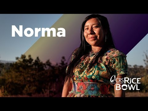 Encounter Norma