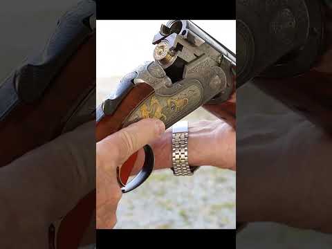 Beretta 687 EELL brought to you by King Video
