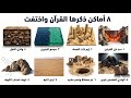 تحميل ترجمة فيديو ٨ أماكن ذكرها القرآن واختفت من الخرائط