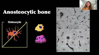 Deep-Time Beginnings of Bone Biology