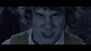 Angelzoom &amp; Apocalyptica - Turn the sky + Lord of rings