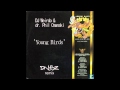 DJ Weirdo & dr. Phill Omanski - Young Birds ...