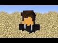 Can You Farm 10 000 000 Eggs In 100 Minecraft Days
