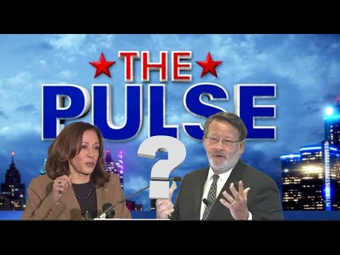 The Pulse of the People: Public Opinion | Vibepedia