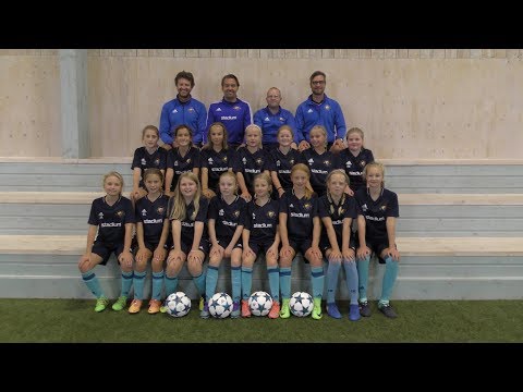 DIF F06 Skinnskatteberg Aug 2017 The Movie