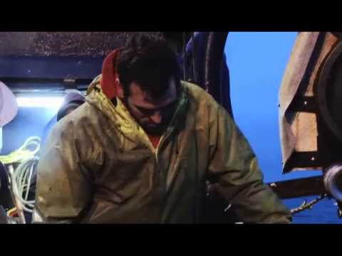 download lagu mp3 mp4 Alternate Zack, download lagu Alternate Zack gratis, unduh video klip Alternate Zack