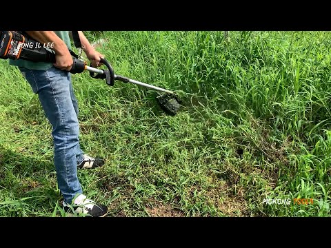 Unpacking Worx Nitro 40V Brush Cutter WG186E.92 Attachment-Capable Driveshare String Trimmer