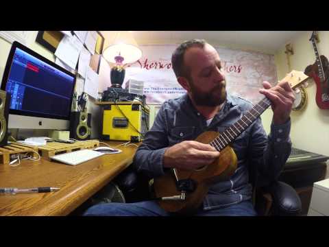 "THE GRIP" UKUELE PICKUP with FLEXIBLE MICRO-GOOSE NECK by Myers Pickups by Myers Pickups image 9