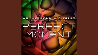 Perfect Moment (feat. Nathan Brumley & Citrino)