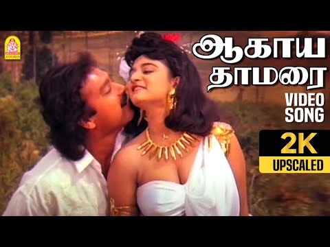 Aagaya Thamarai - 2K Video Song | ஆகாய தாமரை | Nadodi Pattukkaran | Karthik | Mohini