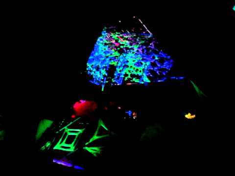 Digitalian Live At - Brainbusters Presents Sister Reality 2010 (japan)