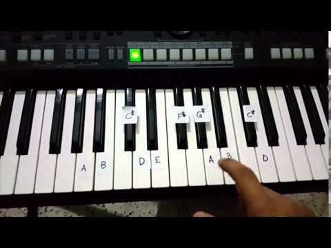 Song 140  The Life of a Pioneer  tutorial for beginners