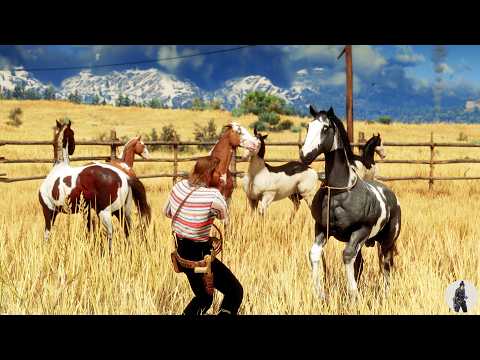 Arthur Finds a Ranch in the Great Plains with 8 American Paint Horses and Tames Them All 🐎🌾