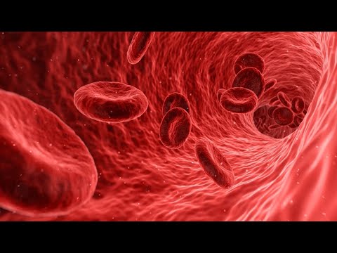 Hirnvenenthrombosen: Biomarker und ein neuer klinischer Score