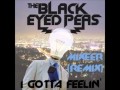 David Guetta Ft. Black Eyed Peas - I Gotta Feeling ...