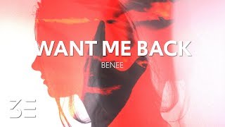 Want Me Back Music Video