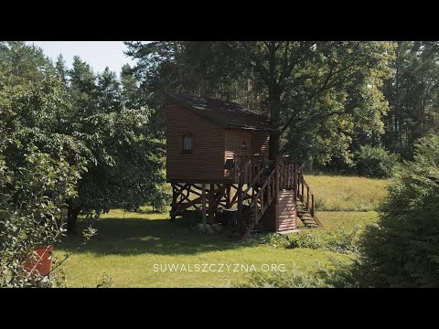 Domek na drzewie w Leśnej Dolinie | SIDORY 14, | JELENIEWO WOJ. PODLASKIE