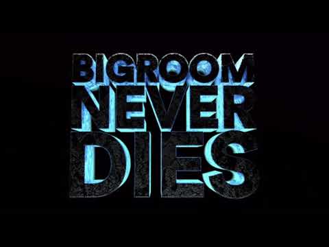 Hardwell vs. A-Trak vs. Lil Nas X - BND vs. Heads Will Roll vs. Old Town Road // EK Mashup