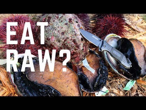 Catch and Cook: GIANT SEA SNAIL and RAW Urchin GONADS!