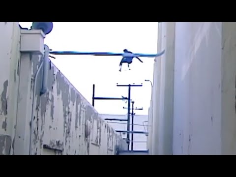 Tony Willie #WED🥞