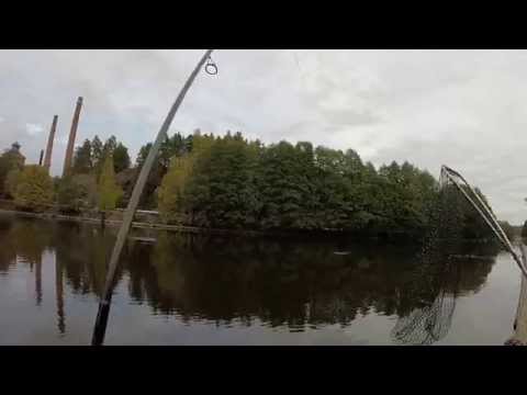 Korkeakosken mörkösiika kyljestä kiinni tosin..