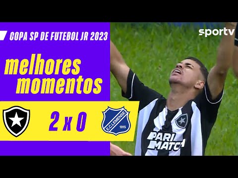 Gols e lances de Botafogo x Lemense