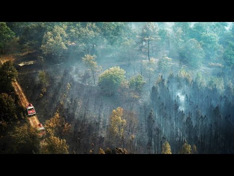 Incendies : la situation s'améliore en France et au Portugal, un feu inquiétant en Espagne