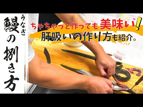 [Cómo preparar anguila] Utilice anguila silvestre obtenida del río debajo de su casa. ¡La chupada de hígado impregna tu cuerpo después de pasar frío en el río! ! Cómo cocinar anguila Cómo cocinar sopa de hígado de anguila.