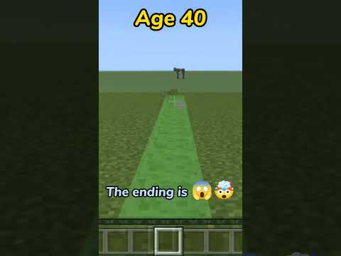 Unbelievable! Walking in minecraft at different ages