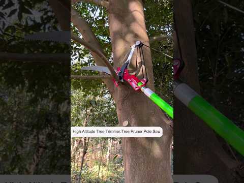 High Reach Telescopic Tree Pruner  | Tree Pole Pruner #shorts