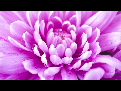 Enhance Positive Energy | 432Hz Healing Frequency | Mindfulness ...
