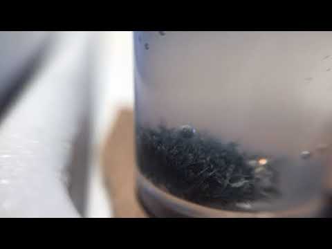 MEL Science Tin Hedgehog Time Lapse