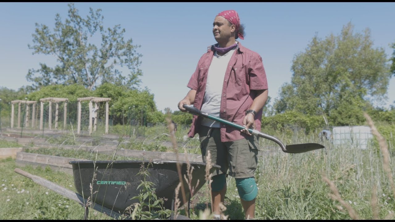 Image Thumbnail for video: The Indigenous Garden at U of T Scarborough
