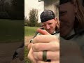 ASMR Massaging A Tree Into A Book Asmr