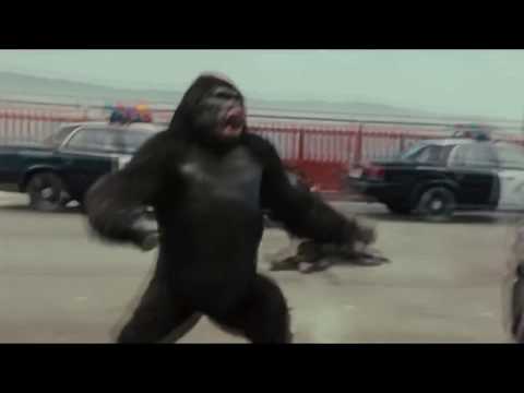 NarkosticK - GORILLA (official clip)