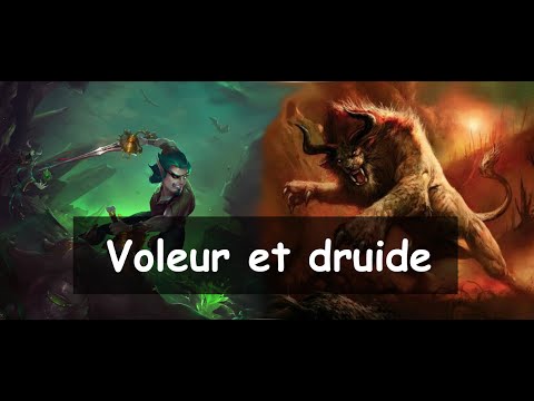 Voleur et druide - Joffré