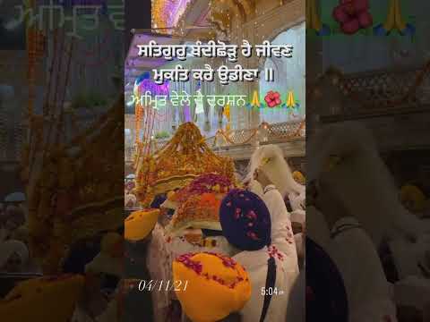 palki sahib sachkhand shri Harmandir Sahib 🙏🏻 amrit vela Darshan 🌹 Bandi chor diwas