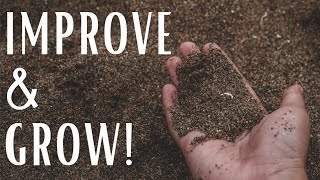 How to improve sandy soil. Soil care and garden health.