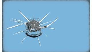 preview picture of video 'Windshield Replacement Hutchins Dallas'