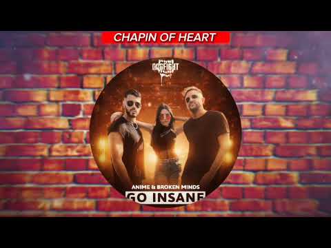 Dj Anime & Broken Minds - Go Insane (Hardcore/Music)(LIVEHARDCORE)