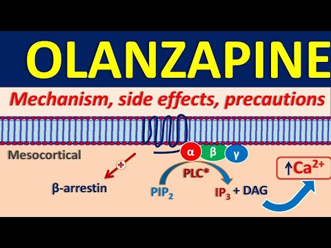 Olanzapine 2.5 Mg Tablet