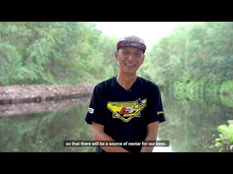 Riau’s Green Turn: Restoring Forests, Empowering Communities, Protecting the Future