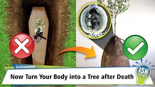 Now Turn Your Body into a Tree after Death