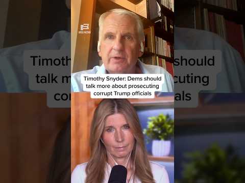 Timothy Snyder: Dems should talk more about prosecuting corrupt Trump officials