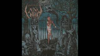 Sigh - Dwellers in a Dream (Alternate Guitar Solo Version)