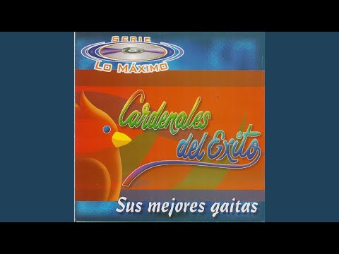 Entre Palos y Alegría