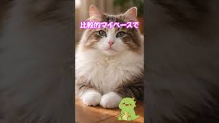 【ペット初心者さん必見!】飼いやすいペット４選