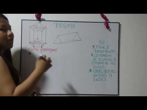 Partes De Un Prisma